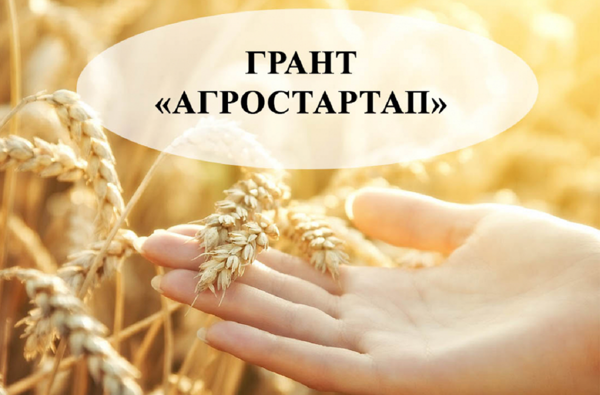 Минсельхозпрод объявляет прием заявок на грант &quot;Агростартап&quot;.