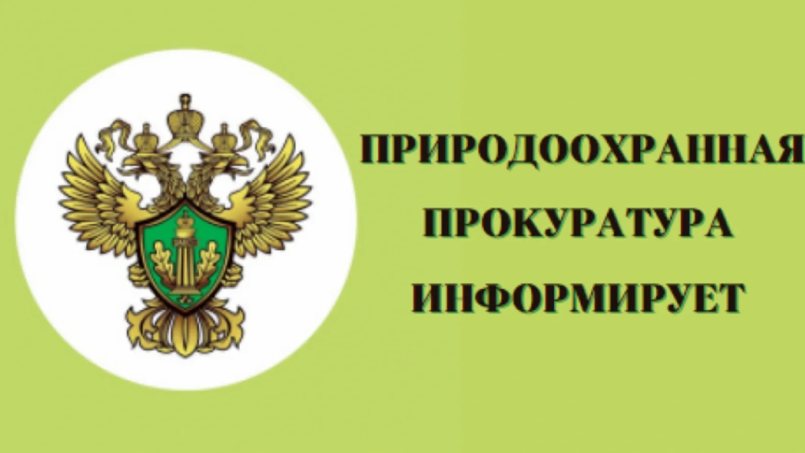 Об охране лесов от пожаров, ответственности за нарушение правил пожарной безопасности в лесах.